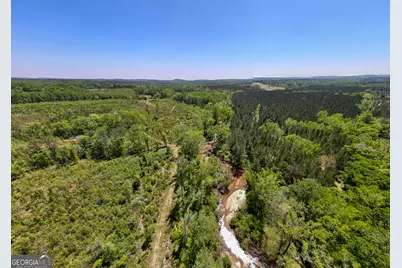 1755 Hunsinger Road, Shiloh, GA 31826 - Photo 39