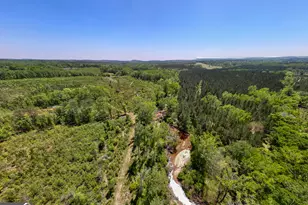 1755 Hunsinger Rd, Shiloh, GA 31826 - Photo 39