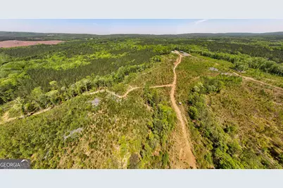 1755 Hunsinger Road, Shiloh, GA 31826 - Photo 41