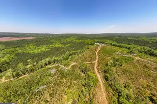 1755 Hunsinger Rd, Shiloh, GA 31826 - Photo 41