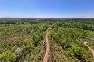 1755 Hunsinger Rd, Shiloh, GA 31826 - Photo 49