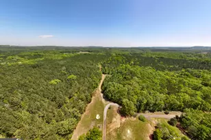 1755 Hunsinger Rd, Shiloh, GA 31826 - Photo 41