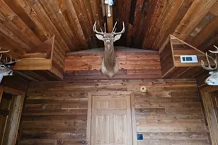 1755 Hunsinger Rd, Shiloh, GA 31826 - Photo 63