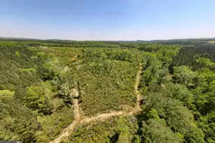 1755 Hunsinger Rd, Shiloh, GA 31826 - Photo 35