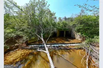 1755 Hunsinger Road, Shiloh, GA 31826 - Photo 61