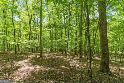 Lt 16 Navajo Trail, McCaysville, GA 30555 - Photo 43