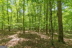 Lt 16 Navajo Trail, McCaysville, GA 30555 - Photo 43