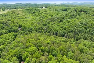 Lt 16 Navajo Trail, McCaysville, GA 30555 - Photo 31