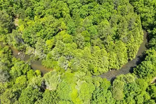 Lt 16 Navajo Trail, McCaysville, GA 30555 - Photo 35