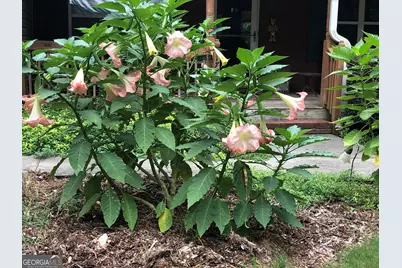 1744 Campbell Road, Covington, GA 30014 - Photo 27