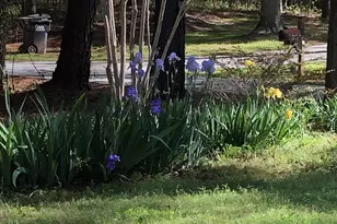 1744 Campbell Rd, Covington, GA 30014 - Photo 25