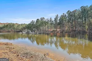 395 W McIntosh Rd, Brooks, GA 30205 - Photo 63