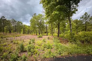 35 Arbor Creek, Mineral Bluff, GA 30559 - Photo 1