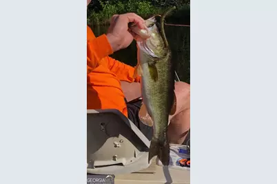 1095 Jacksonville Highway, Fitzgerald, GA 31750 - Photo 39