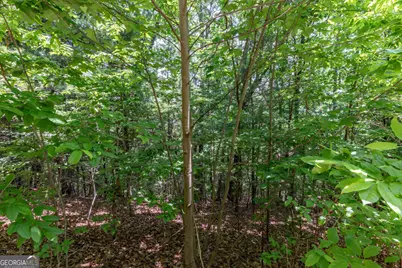 Lot 6 Wild Turkey #64, Young Harris, GA 30582 - Photo 7
