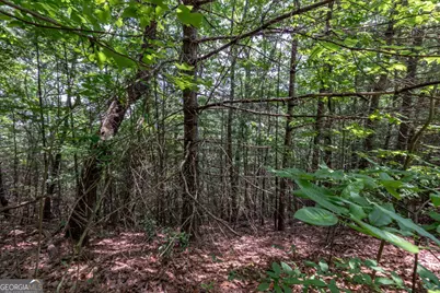 Lot 6 Wild Turkey #64, Young Harris, GA 30582 - Photo 11