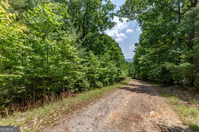 Lot 6 Wild Turkey #64, Young Harris, GA 30582 - Photo 3