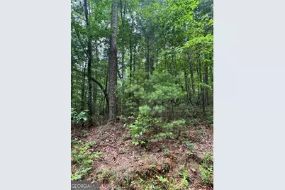 0 Nimblewill Creek Road, Dahlonega, GA 30533 - Photo 7