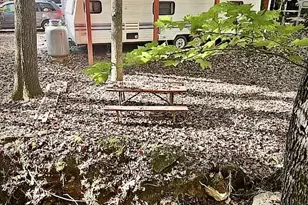 30 26th St, Ellijay, GA 30540 - Photo 3