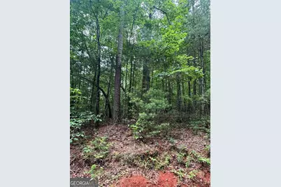 0 Nimblewill Creek Road, Dahlonega, GA 30533 - Photo 3