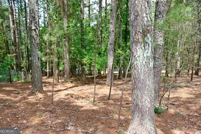 3129 Etchison Road, Loganville, GA 30052 - Photo 53