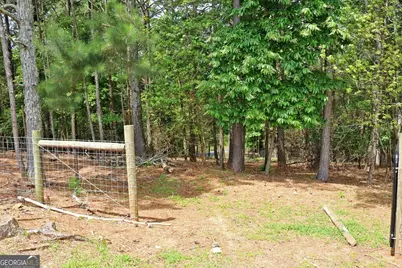 3129 Etchison Road, Loganville, GA 30052 - Photo 51