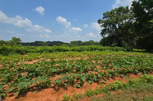 2037 Jeff Davis Rd, Thomaston, GA 30286 - Photo 49