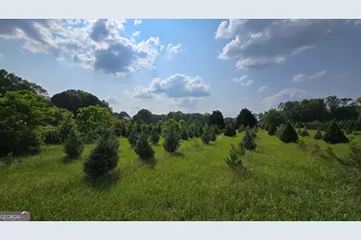 2037 Jeff Davis Road, Thomaston, GA 30286 - Photo 35