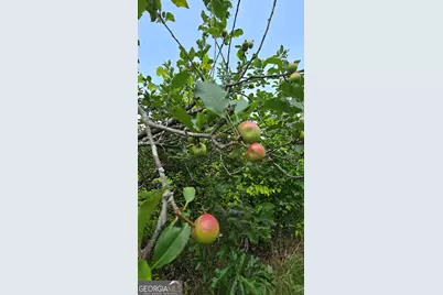 2037 Jeff Davis Road, Thomaston, GA 30286 - Photo 45