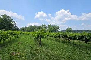 2037 Jeff Davis Rd, Thomaston, GA 30286 - Photo 31