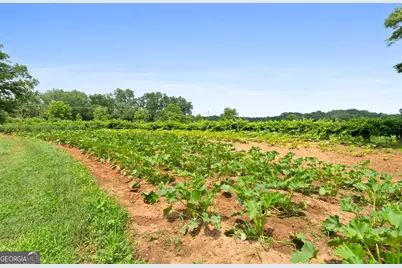 2037 Jeff Davis Road, Thomaston, GA 30286 - Photo 33