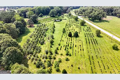 2037 Jeff Davis Road, Thomaston, GA 30286 - Photo 5