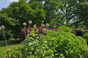 2037 Jeff Davis Rd, Thomaston, GA 30286 - Photo 43