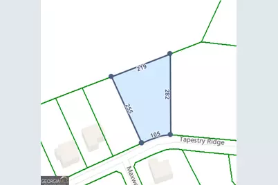 1610 Tapestry Ridge, Lawrenceville, GA 30045 - Photo 3