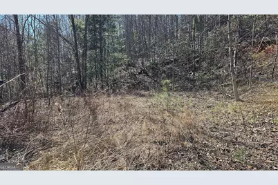 0 Saddleback Circle, Sky Valley, GA 30537 - Photo 3