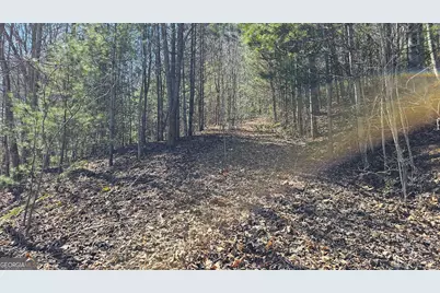 0 Saddleback Circle, Sky Valley, GA 30537 - Photo 11