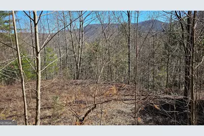 0 Saddleback Circle, Sky Valley, GA 30537 - Photo 9