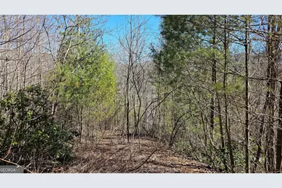 0 Saddleback Circle, Sky Valley, GA 30537 - Photo 13