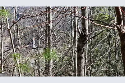 0 Saddleback Circle, Sky Valley, GA 30537 - Photo 5