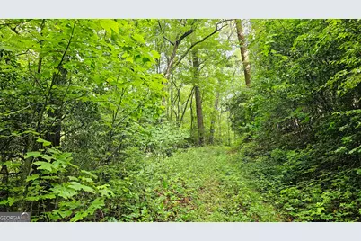 0 Toole Street, Clayton, GA 30525 - Photo 11