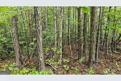 0 Toole Street, Clayton, GA 30525 - Photo 13