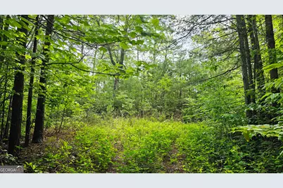 0 Toole Street, Clayton, GA 30525 - Photo 15