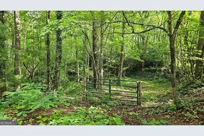 0 Toole Street, Clayton, GA 30525 - Photo 5