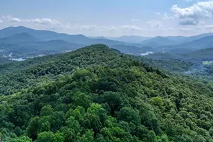 1795 Ivy Mountain Rd, Hiawassee, GA 30546 - Photo 53