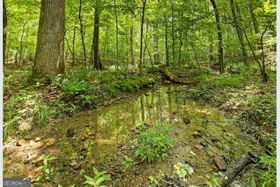 1398 Antioch Church Road, Talking Rock, GA 30175 - Photo 51