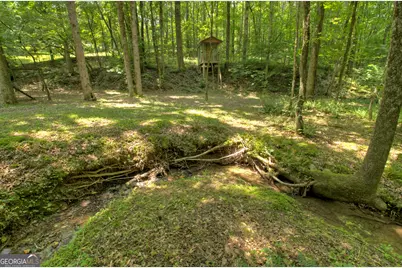 1398 Antioch Church Road, Talking Rock, GA 30175 - Photo 55