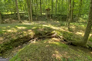 1398 Antioch Church Rd, Talking Rock, GA 30175 - Photo 55