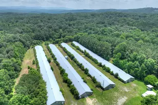 1398 Antioch Church Rd, Talking Rock, GA 30175 - Photo 65