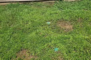 1649 Deer Creek Ln, Monroe, GA 30655 - Photo 31