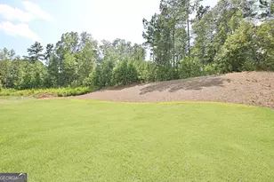 470 Werner Wy, Senoia, GA 30276 - Photo 73